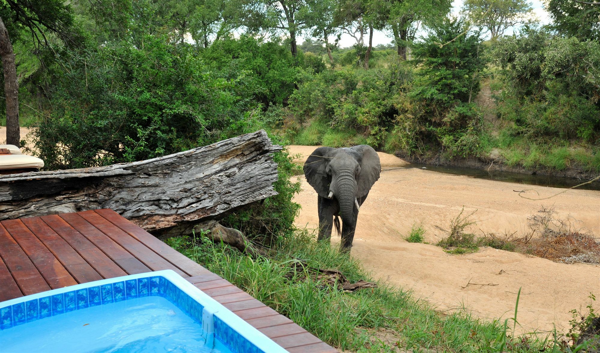 Imbali Safari Lodge Mluwati Concession Exterior foto